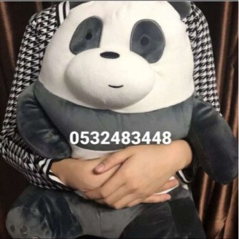 الدببة الثلاثة