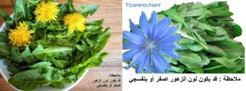 بذور المملكة