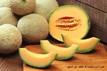 بذور المملكة