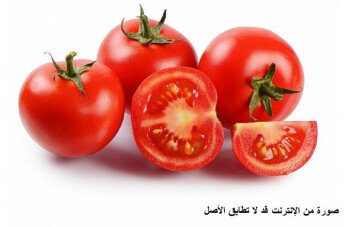 بذور المملكة