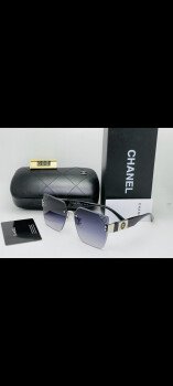 Royal Palace Optics