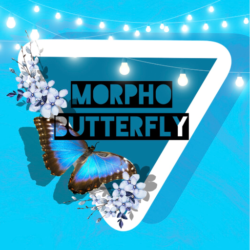 MORPHO BUTTERFLY SHOP 🦋