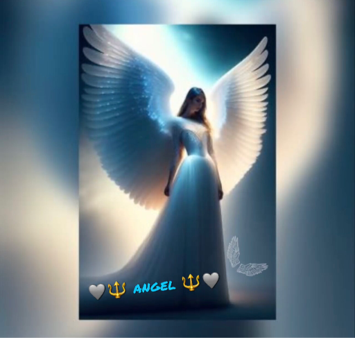 🩶🔱Angel🔱🩶