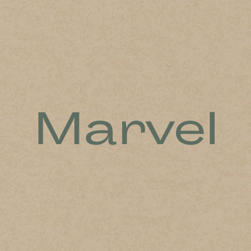 marvel store
